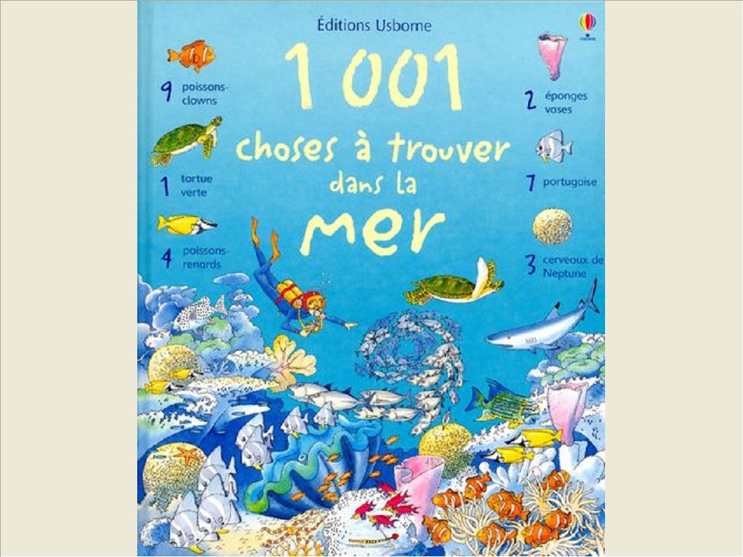 1001 CHOSES A TROUVER DANS MER