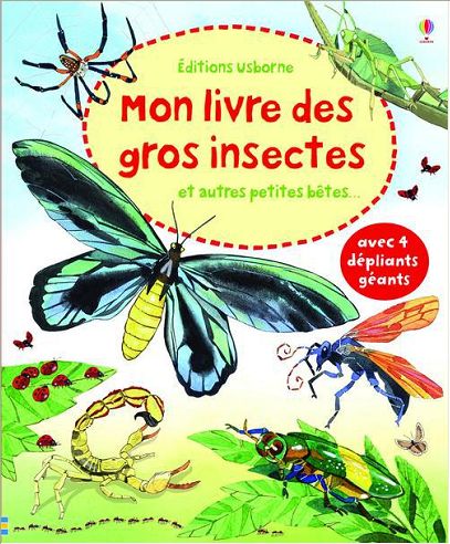 MON LIVRE DES GROS INSECTES