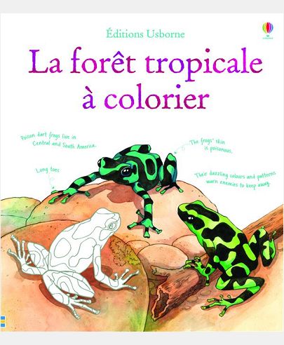 FAUNE ET FLORE DE LA FORET TROPICALE A COLORIER