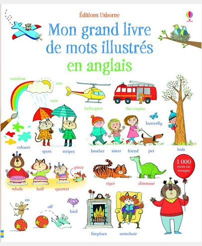 MON GRAND LIVRE DE MOTS ILLUSTRES EN ANGLAIS