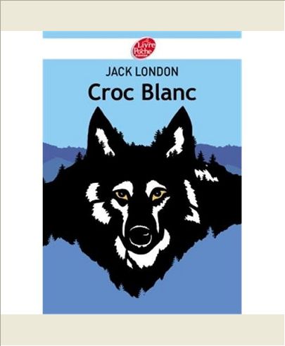 CROC BLANC - TEXTE ABREGE