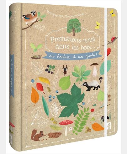 PROMENONS-NOUS DANS LES BOIS - UN HERBIER ET UN GUIDE