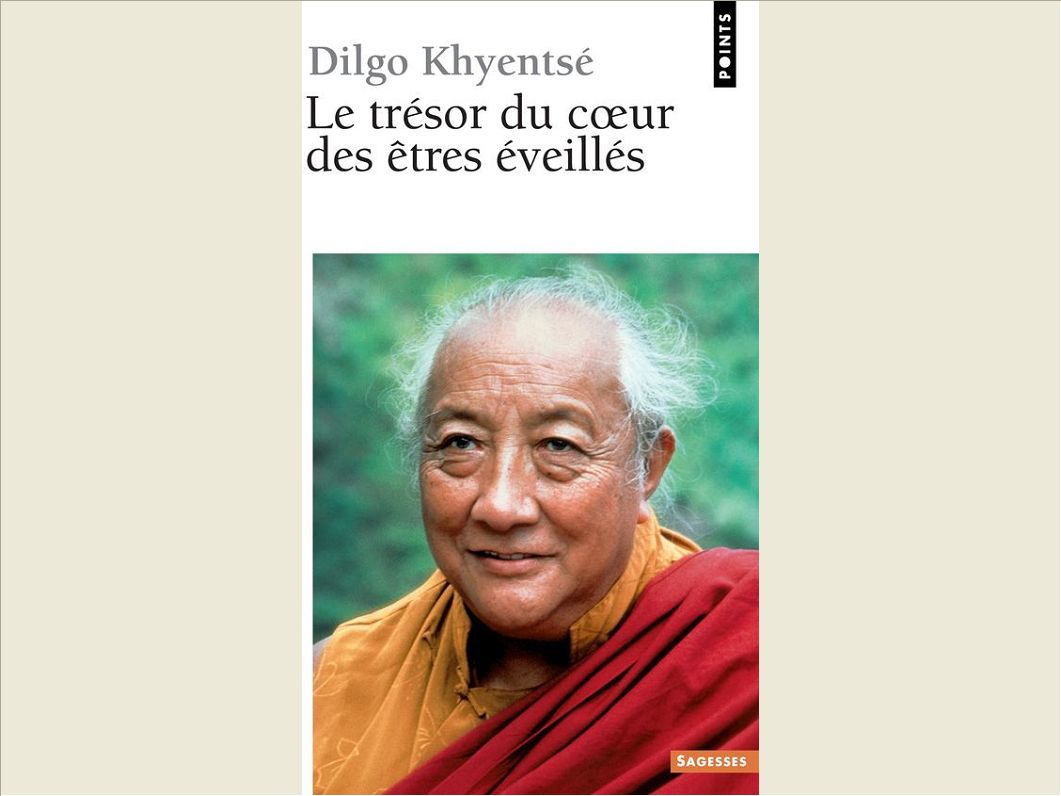 LE TRESOR DU COEUR DES ETRES EVEILLES. PRATIQUE DE LA VUE, DE LA MEDITATION ET DE L'ACTION