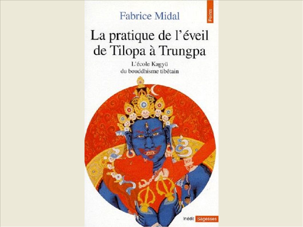 LA PRATIQUE DE L'EVEIL DE TILOPA A TRUNGPA. L'ECOLE KAGYU DU BOUDDHISME TIBETAIN