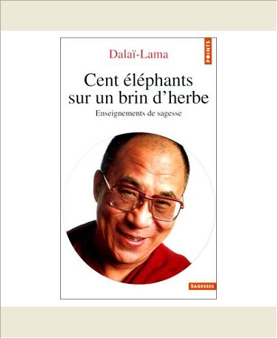 CENT ELEPHANTS SUR UN BRIN D'HERBE. ENSEIGNEMENTS