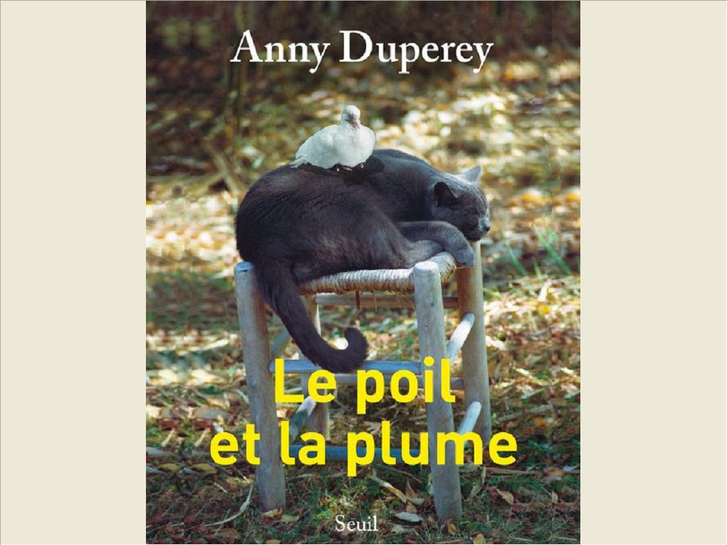 LE POIL ET LA PLUME
