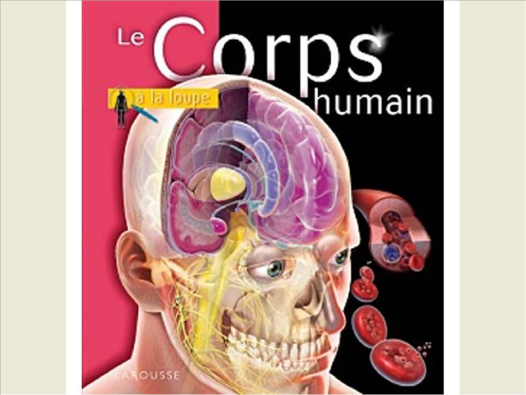 LE CORPS HUMAIN