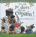 CE SOIR, JE DORS CHEZ UN COPAIN !