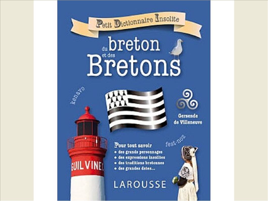 PETIT DICTIONNAIRE INSOLITE DU BRETON ET DES BRETONS