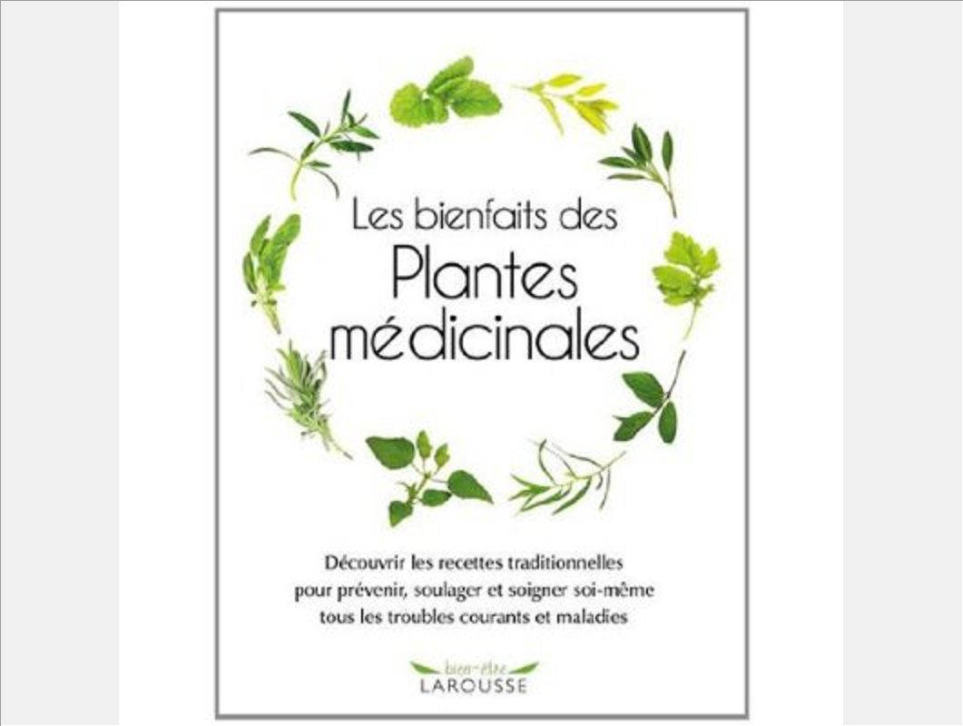 LES BIENFAITS DES PLANTES MEDICINALES