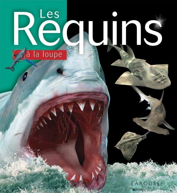 LES REQUINS