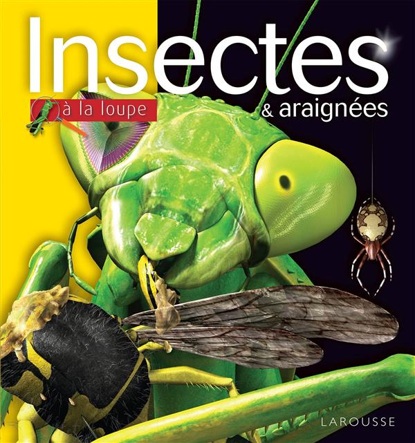 INSECTES ET ARAIGNEES
