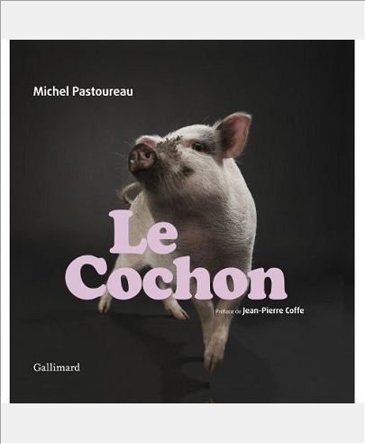 LE COCHON