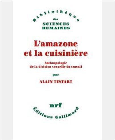 L'AMAZONE ET LA CUISINIERE - ANTHROPOLOGIE DE LA DIVISION SEXUELLE DU TRAVAIL