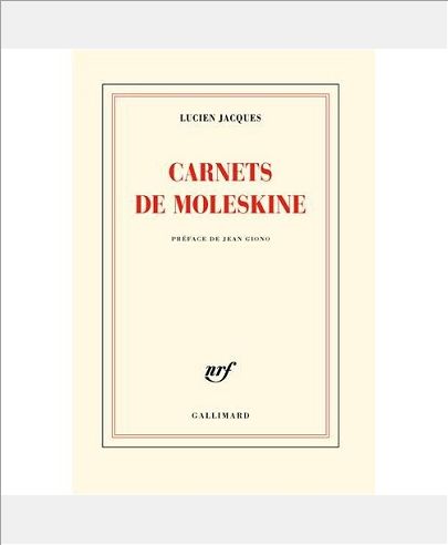 CARNETS DE MOLESKINE