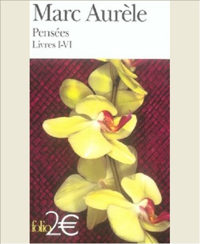PENSEES LIVRES I-VI