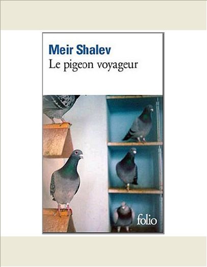 LE PIGEON VOYAGEUR