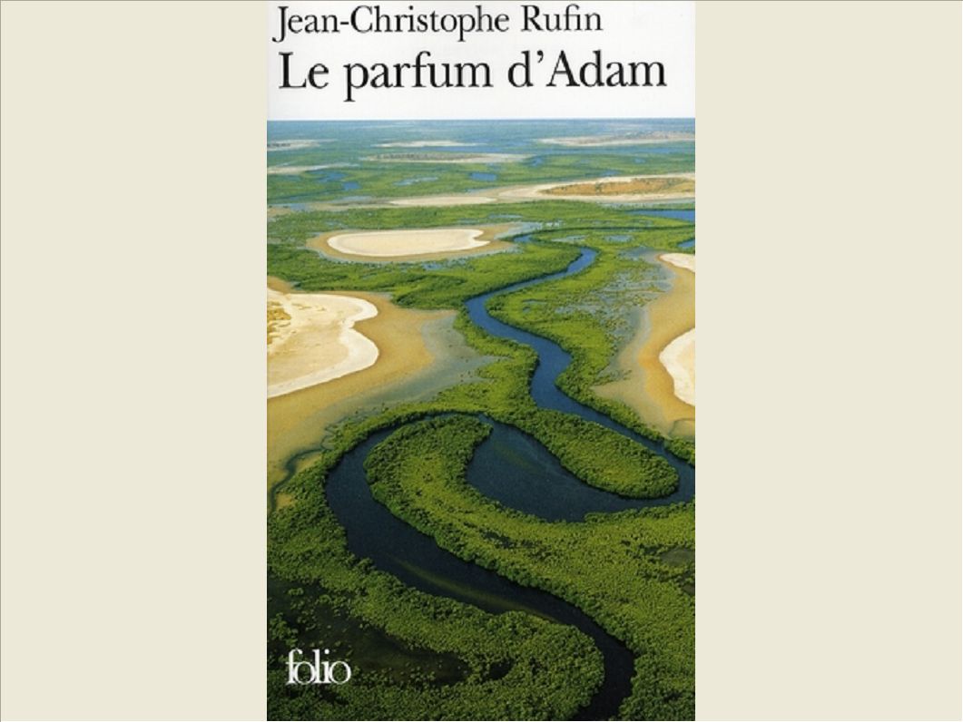 LE PARFUM D'ADAM