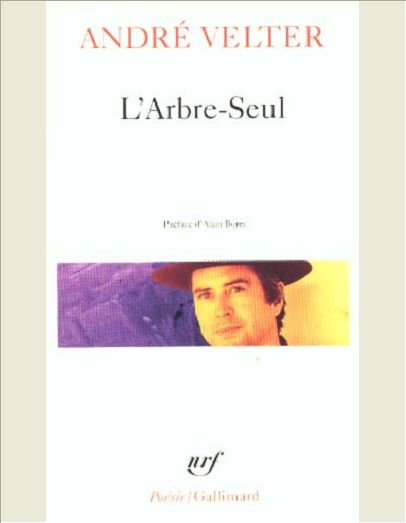 L'ARBRE-SEUL