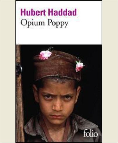 OPIUM POPPY