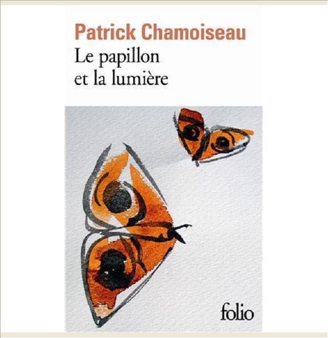 LE PAPILLON ET LA LUMIERE