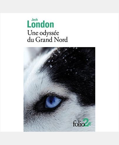 UNE ODYSSEE DU GRAND NORD / LE SILENCE BLANC