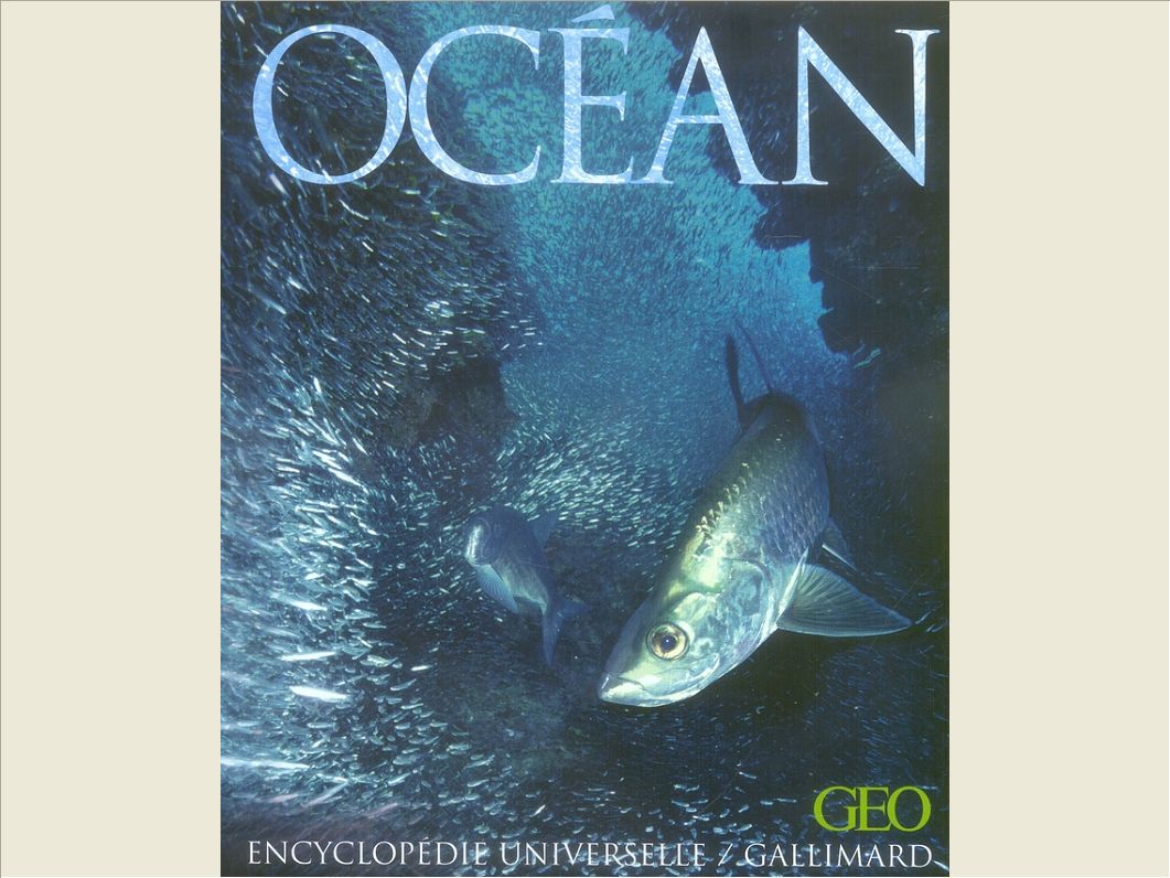OCEAN