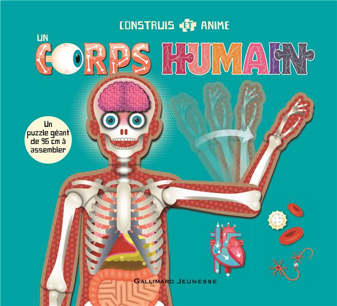 CONSTRUIS ET ANIME UN CORPS HUMAIN
