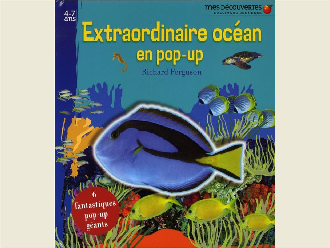 EXTRAORDINAIRE OCEAN EN POP-UP