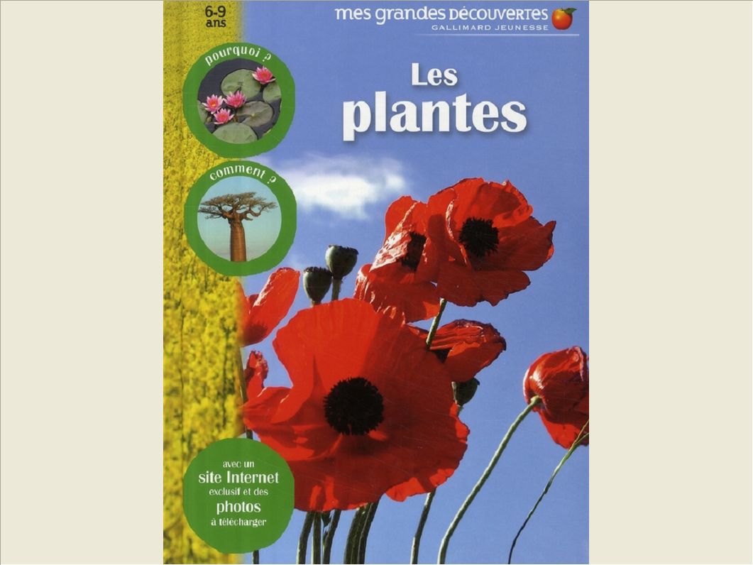 LES PLANTES