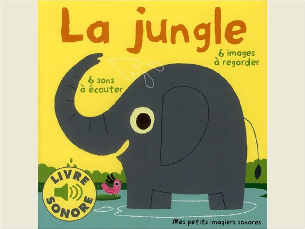 LA JUNGLE - 6 SONS A ECOUTER, 6 IMAGES A REGARDER