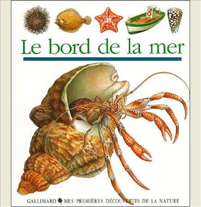 LE BORD DE LA MER