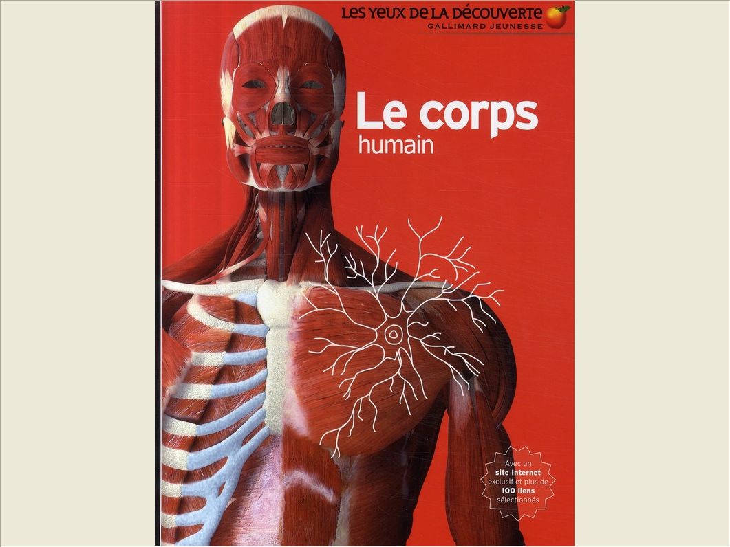 LE CORPS HUMAIN