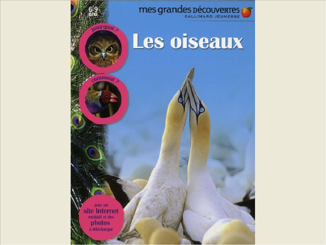 LES OISEAUX