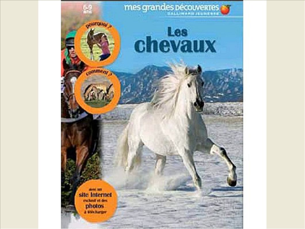 LES CHEVAUX - POURQUOI ?, COMMENT ? ET AVEC UN SITE INTERNET EXCLUSIF ET DES PHOTOS A TELECHARGER