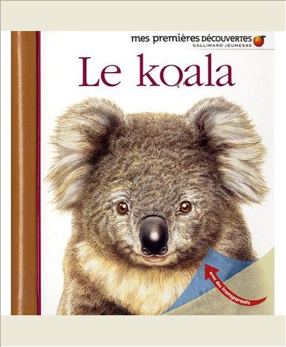 LE KOALA