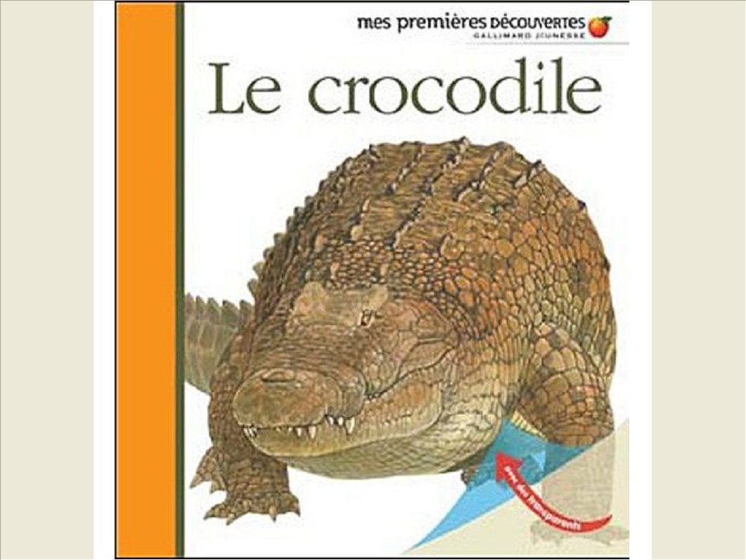 LE CROCODILE