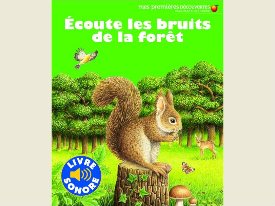 ECOUTE LES BRUITS DE LA FORET