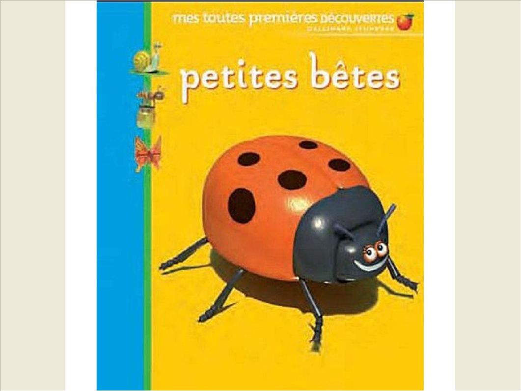 PETITES BETES