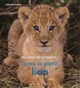 AVEC LE PETIT LION