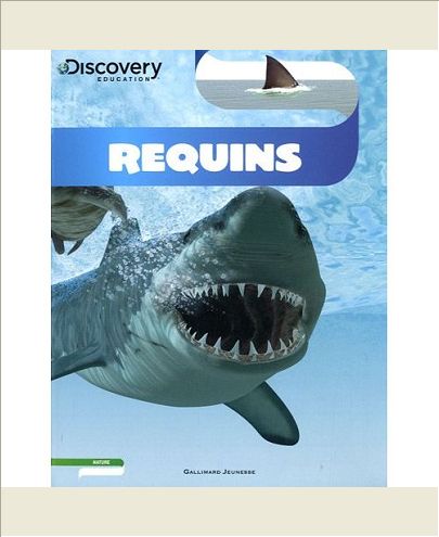 REQUINS