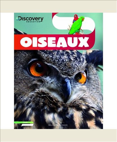 OISEAUX