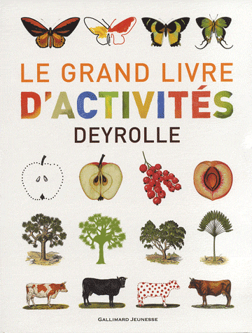 LE GRAND LIVRE D'ACTIVITES DEYROLLE N  1
