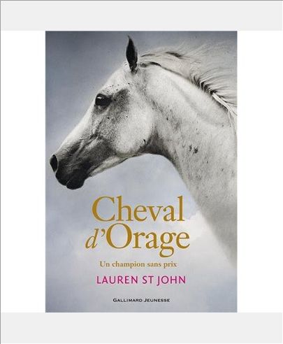 CHEVAL D'ORAGE - VOL01 - UN CHAMPION SANS PRIX