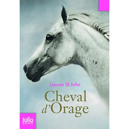 CHEVAL D'ORAGE - VOL01 - UN CHAMPION SANS PRIX