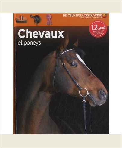 CHEVAUX ET PONEYS
