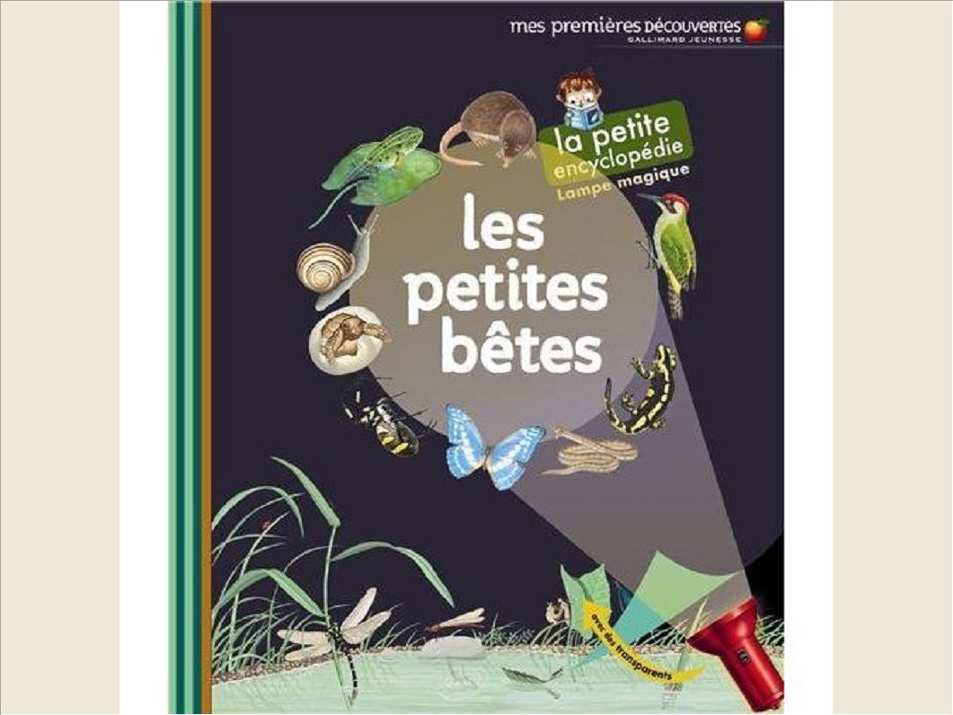 LES PETITES BETES