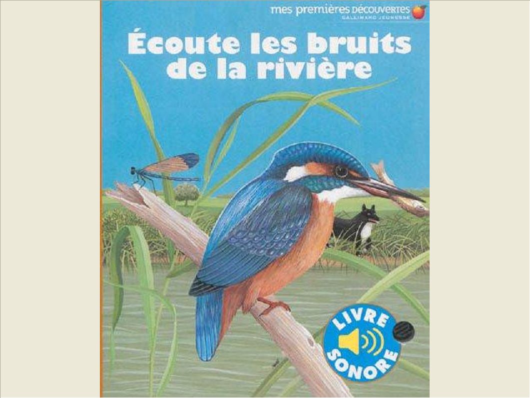 ECOUTE LES BRUITS DE LA RIVIERE