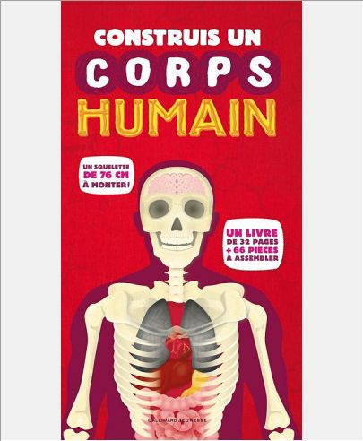 CONSTRUIS UN CORPS HUMAIN