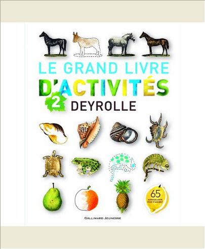LE GRAND LIVRE D'ACTIVITES DEYROLLE N 2